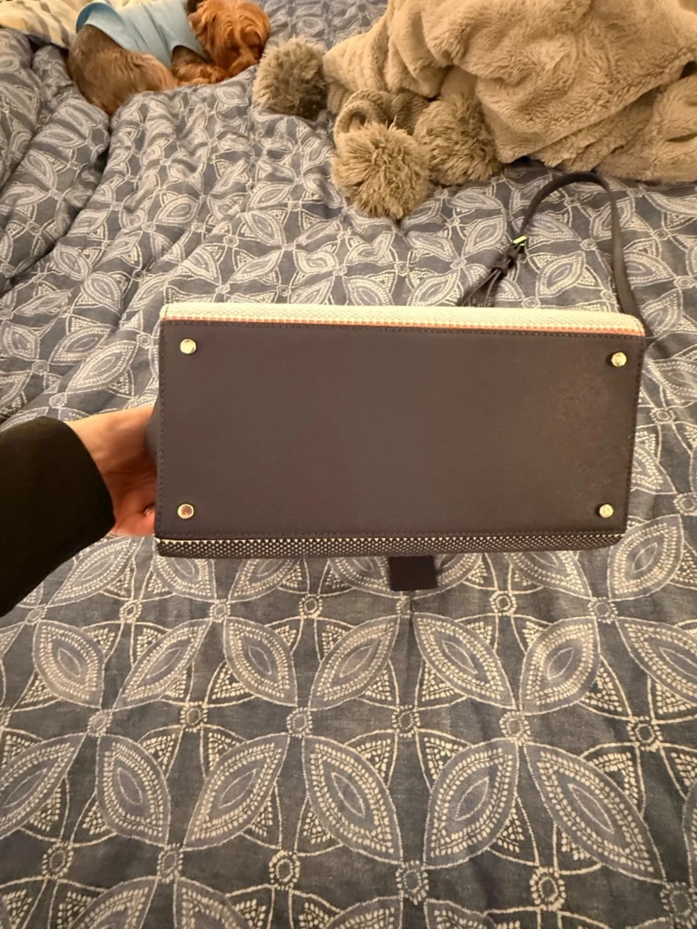 Striped Kate Spade purse